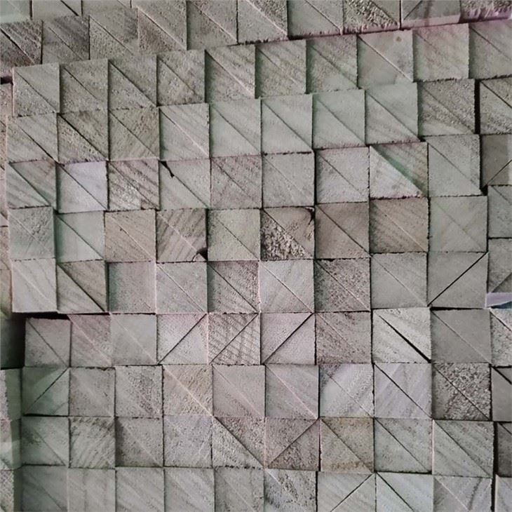 بولونيا مثلث قطاع